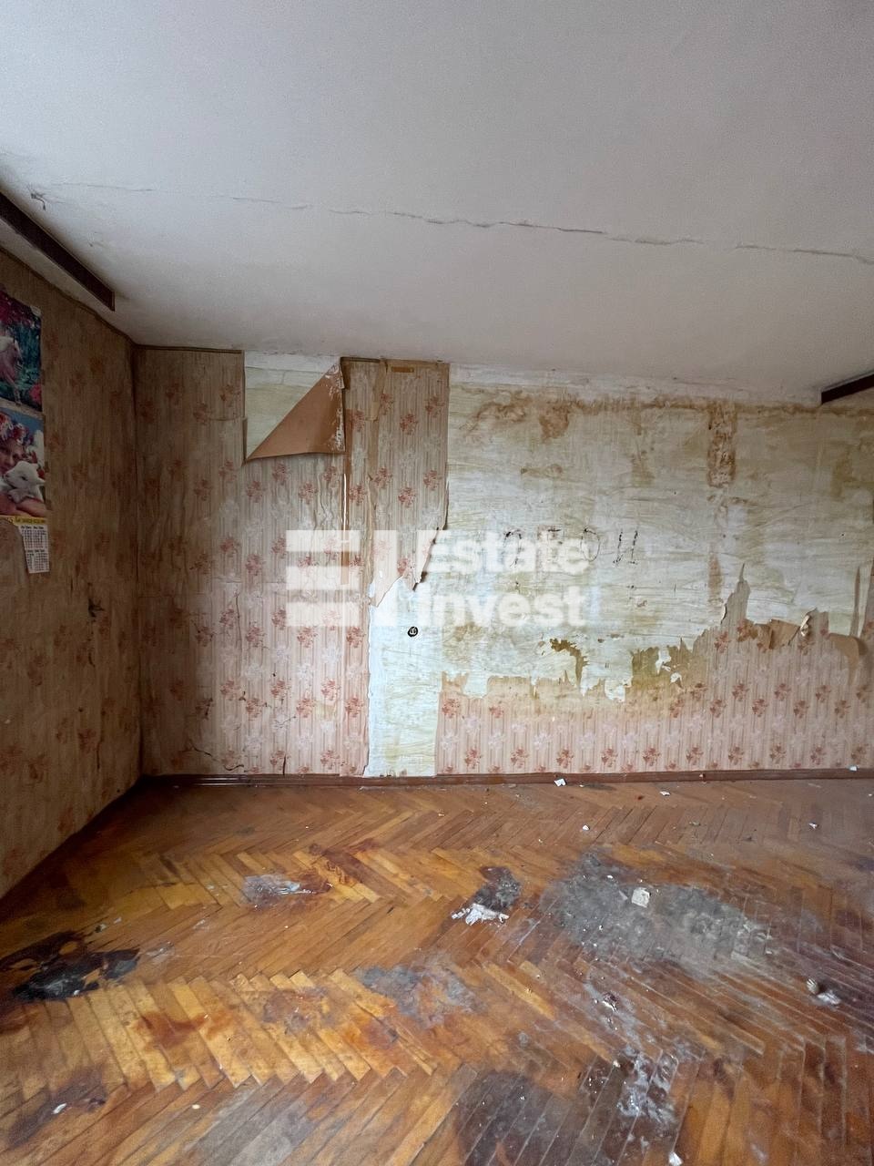 photo_2026-03-30_14-14-13 (2)